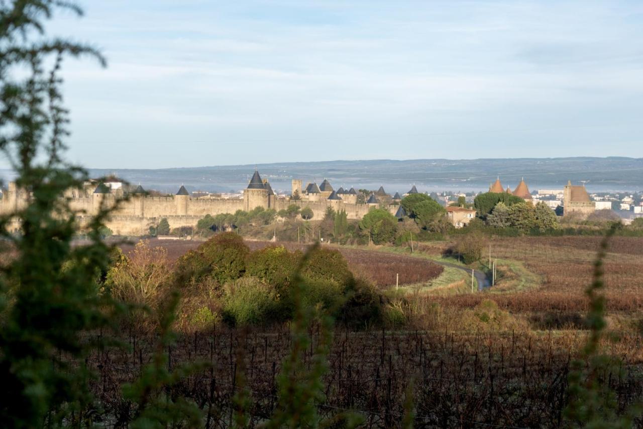Villa Des Cathares Carcassonne Bagian luar foto