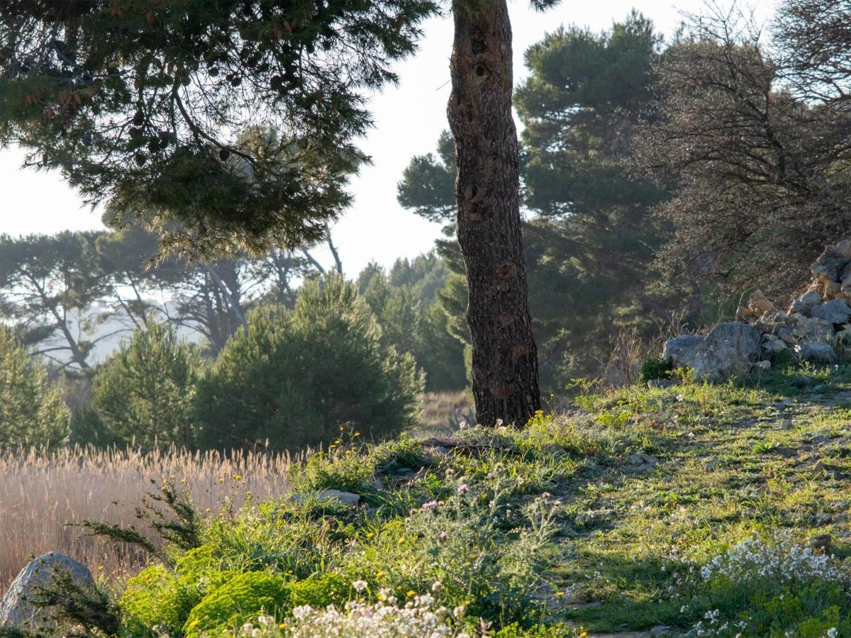 Villa Des Cathares Carcassonne Bagian luar foto