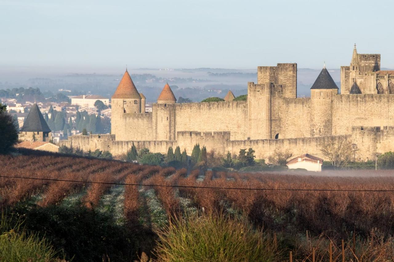 Villa Des Cathares Carcassonne Bagian luar foto