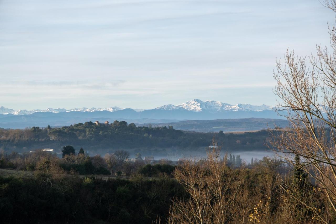 Villa Des Cathares Carcassonne Bagian luar foto