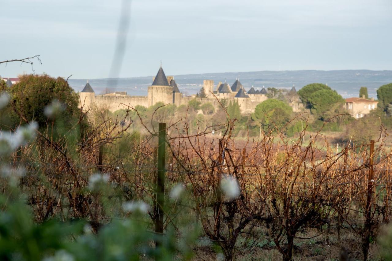 Villa Des Cathares Carcassonne Bagian luar foto
